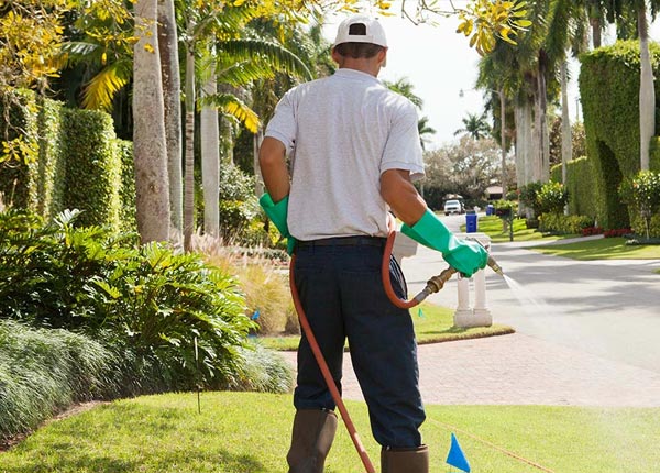 About Peach Creek WV Pest Control
